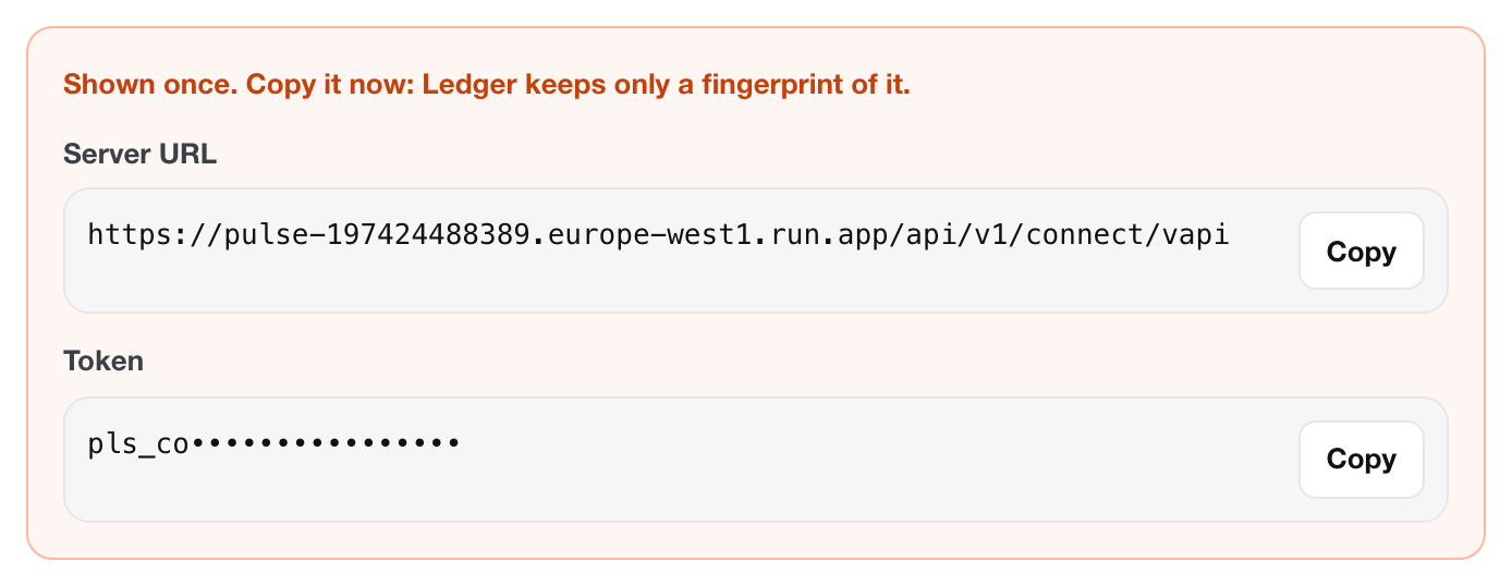 Ledger shows the server URL and the token once, each with a Copy button. The token is hidden in this picture.